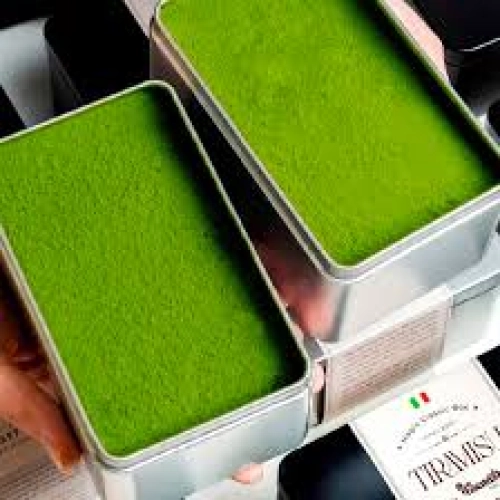 tiramisu-matcha-245gr